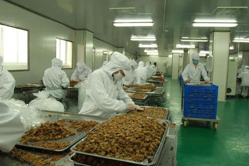 太和農產品加工產業園入選省行動計劃，聚焦食用農產品初加工高質量發展