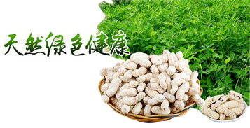 區塊鏈溯源 揭開有機農產品的偽裝術，重塑食用農產品批發新生態