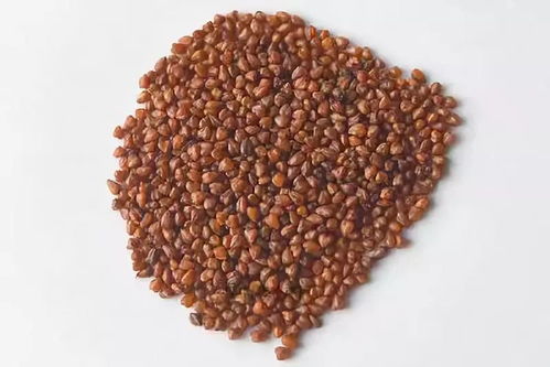 海外熱銷，泰州三農產品基地榮膺省級示范，這些特產你嘗過嗎？